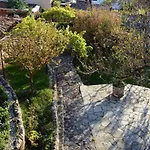 Giorgos' & Noula's In Village- Near Delphi