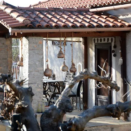 Chalet Giorgos' & Noula's In Village- Near Delphi