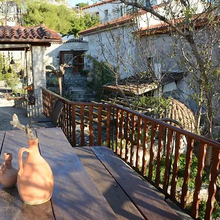Giorgos' & Noula's In Village- Near Delphi * Desfina
