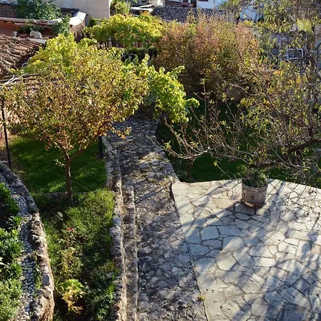 Giorgos' & Noula's In Village- Near Delphi