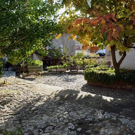 Giorgos' & Noula's In Village- Near Delphi Chalet