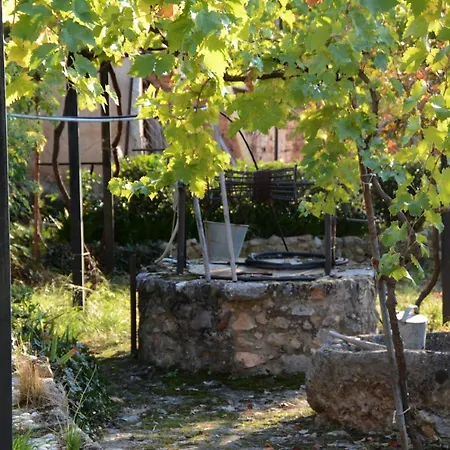 Giorgos' & Noula's In Village- Near Delphi Desfina